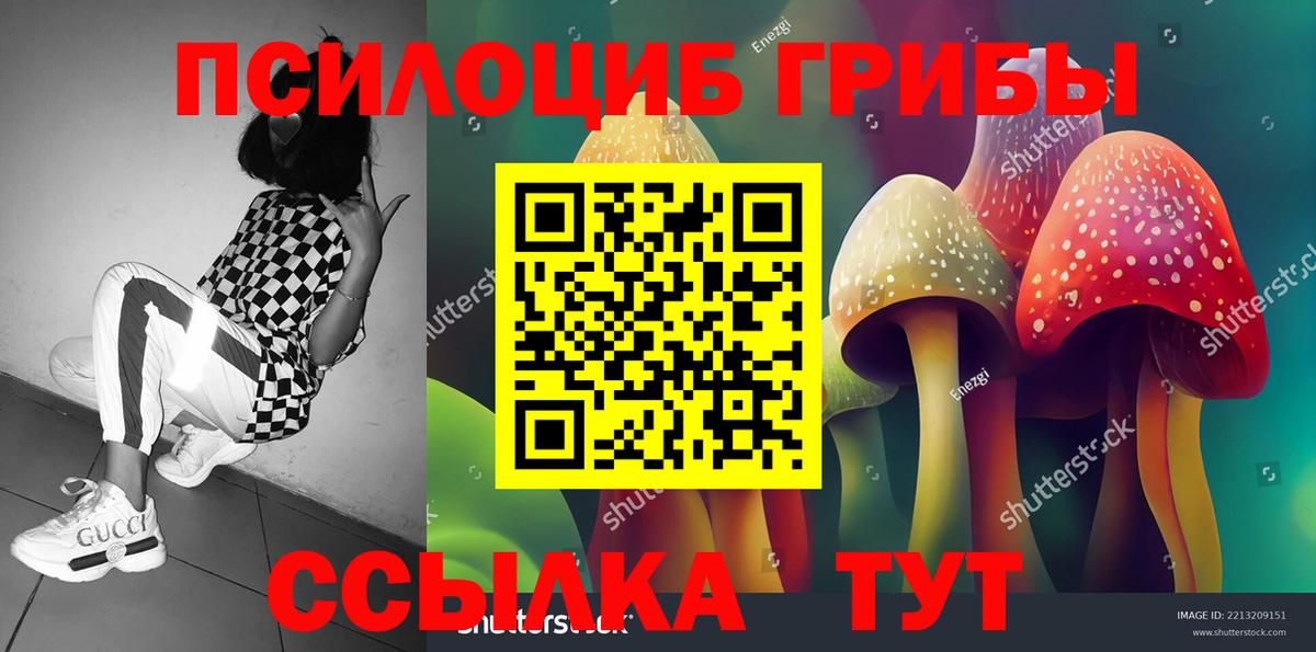 Галлюциногенные грибы мухоморы Новочебоксарск